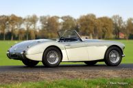 Austin Healey 100/6 BN6, 1957